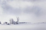 Fine Art Printing Toronto