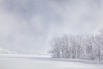 Fine Art Printing Toronto